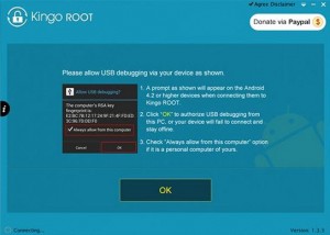 Root